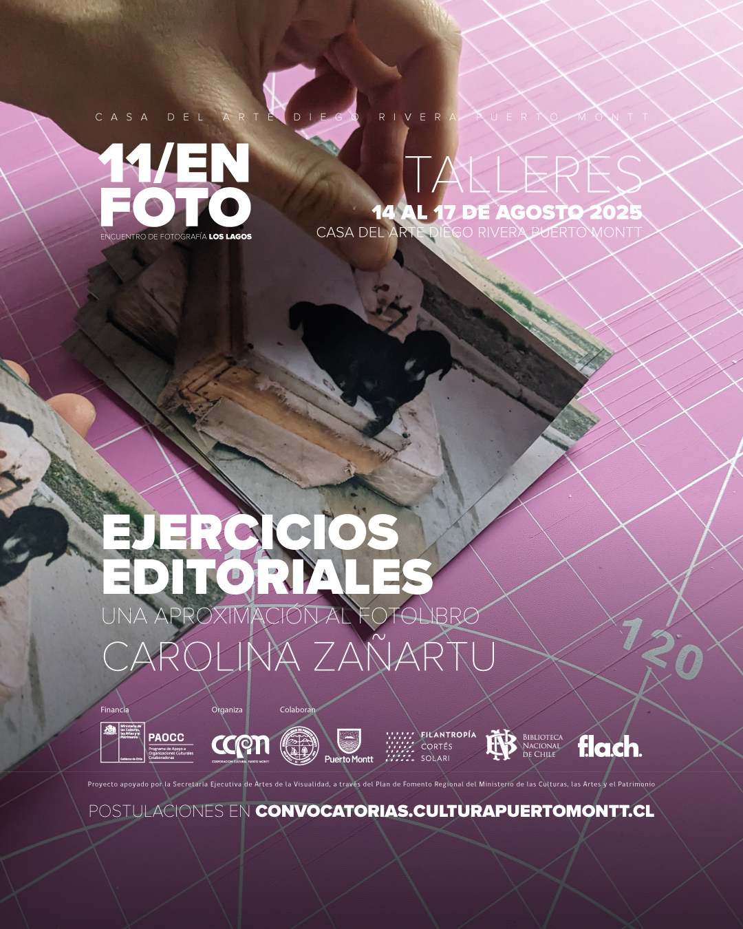 Taller Ejercicios Editoriales / Carolina Zañartu